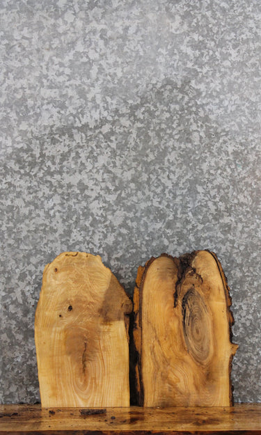 2- Ash Natural Edge Charcuterie Board/Taxidermy Slab CLOSEOUT 257-258